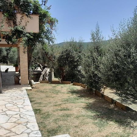 I Gufetti Villa San Savino  Exterior photo